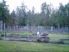 PICT0032.JPG