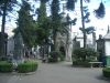 IMGP6987.JPG