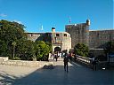 WP_003001.jpg