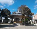 Filename=WP_002791.jpg
Filesize=284KiB
Dimensions=1143x900
Date added=Dec 12, 2016 WP_002791.jpg