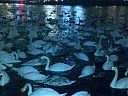 WP_003085.jpg