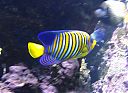 Filename=WP_000255.jpg
Filesize=288KiB
Dimensions=1280x936
Date added=Mar 11, 2014 WP_000255.jpg