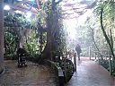 Filename=WP_000257.jpg
Filesize=285KiB
Dimensions=1280x960
Date added=Mar 11, 2014 WP_000257.jpg
