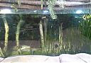 Filename=WP_000259.jpg
Filesize=255KiB
Dimensions=1280x895
Date added=Mar 11, 2014 WP_000259.jpg