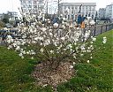 Filename=WP_000268.jpg
Filesize=286KiB
Dimensions=1255x1024
Date added=Mar 11, 2014 WP_000268.jpg