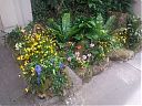 Filename=WP_000374.jpg
Filesize=289KiB
Dimensions=1280x960
Date added=Mar 12, 2014 WP_000374.jpg