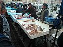Filename=WP_000042web.jpg
Filesize=271KiB
Dimensions=1280x960
Date added=Mar 08, 2014 WP_000042web.jpg