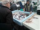 Filename=WP_000045web.jpg
Filesize=245KiB
Dimensions=1280x960
Date added=Mar 08, 2014 WP_000045web.jpg