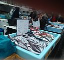 Filename=WP_000048web.jpg
Filesize=237KiB
Dimensions=1100x1024
Date added=Mar 08, 2014 WP_000048web.jpg