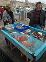 Filename=WP_000055web.jpg
Filesize=244KiB
Dimensions=768x1024
Date added=Mar 08, 2014 WP_000055web.jpg