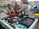 Filename=WP_000056web.jpg
Filesize=291KiB
Dimensions=1280x960
Date added=Mar 08, 2014 WP_000056web.jpg
