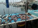 Filename=WP_000067web.jpg
Filesize=284KiB
Dimensions=1280x960
Date added=Mar 08, 2014 WP_000067web.jpg