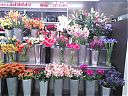 Filename=WP_000152.jpg
Filesize=264KiB
Dimensions=1280x960
Date added=Mar 10, 2014 WP_000152.jpg