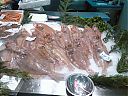 Filename=WP_000158.jpg
Filesize=269KiB
Dimensions=1280x960
Date added=Mar 10, 2014 WP_000158.jpg