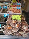 Filename=WP_000343.jpg
Filesize=284KiB
Dimensions=768x1024
Date added=Mar 11, 2014 WP_000343.jpg