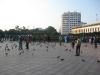IMG_8153.JPG