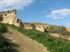 IMG_7944.JPG