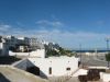 IMG_8096.JPG