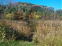 WP_000518.jpg