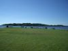 IMGP3118_800.JPG