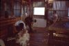 03_N22_shearshed.jpg