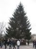 Filename=IMG_7765.JPG
Filesize=203KiB
Dimensions=450x600
Date added=Apr 11, 2011 IMG_7765.JPG