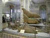 p45_zoo_museum_seals.jpg