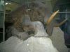 p46_zoo_museum_mammoth.jpg