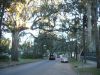 IMGP3438.JPG