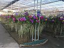 Filename=ec_001019.jpg
Filesize=292KiB
Dimensions=1280x960
Date added=Mar 24, 2014 ec_001019.jpg