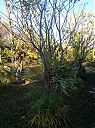 Filename=ec_001020.jpg
Filesize=241KiB
Dimensions=538x718
Date added=Mar 24, 2014 ec_001020.jpg