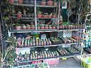 WP_000774.jpg
