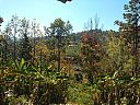 WP_000915.jpg
