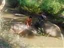 Filename=WP_000990.jpg
Filesize=290KiB
Dimensions=1280x960
Date added=Mar 22, 2014 WP_000990.jpg