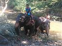 Filename=WP_001007.jpg
Filesize=291KiB
Dimensions=1280x960
Date added=Mar 22, 2014 WP_001007.jpg