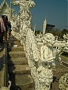 WP_001140.jpg