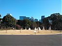 WP_000722.jpg