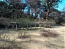 WP_000726.jpg