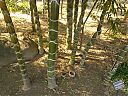 WP_000729.jpg