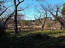 WP_000744.jpg