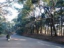 WP_000612.jpg