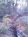 WP_000615.jpg