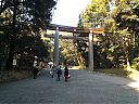 WP_000622.jpg