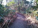 WP_000623.jpg