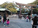 WP_000641.jpg
