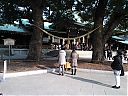 WP_000648.jpg