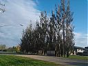 WP_002753.jpg