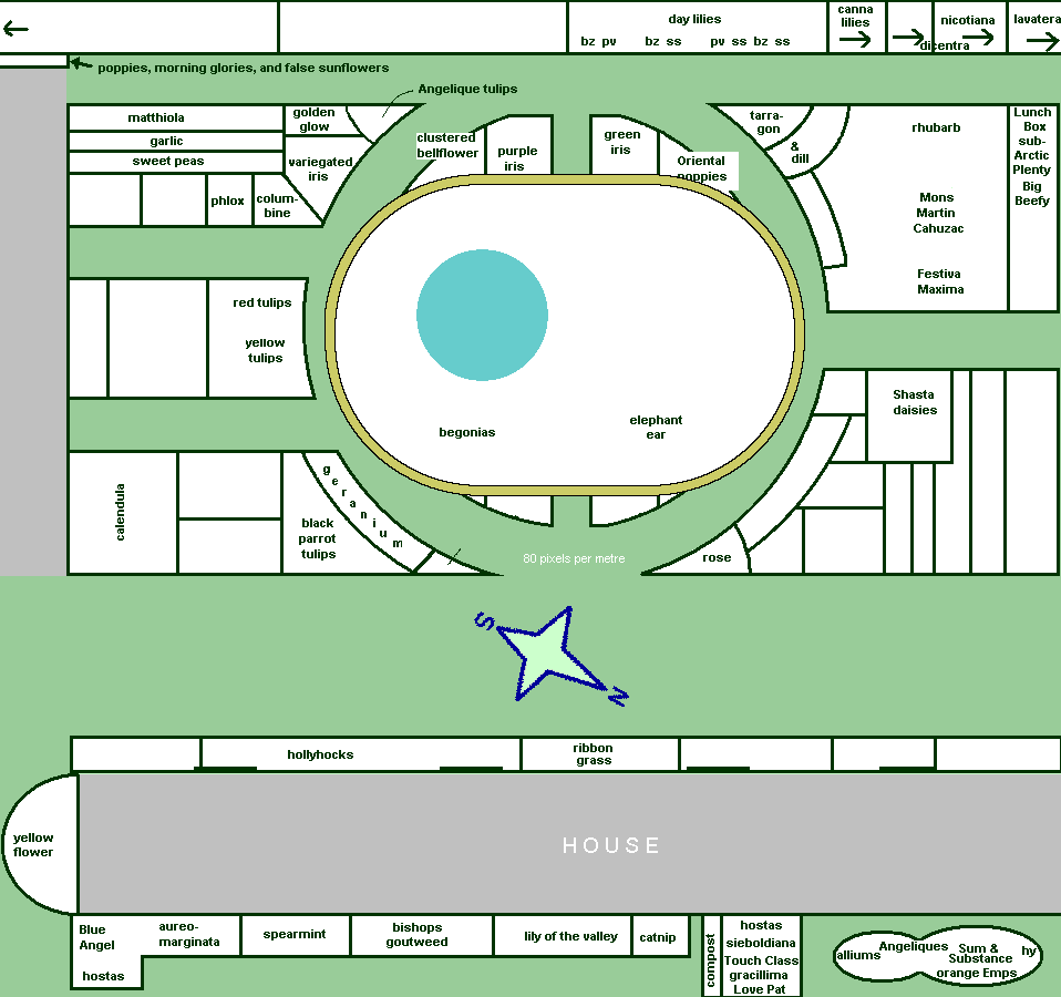 Garden Plan for 2011